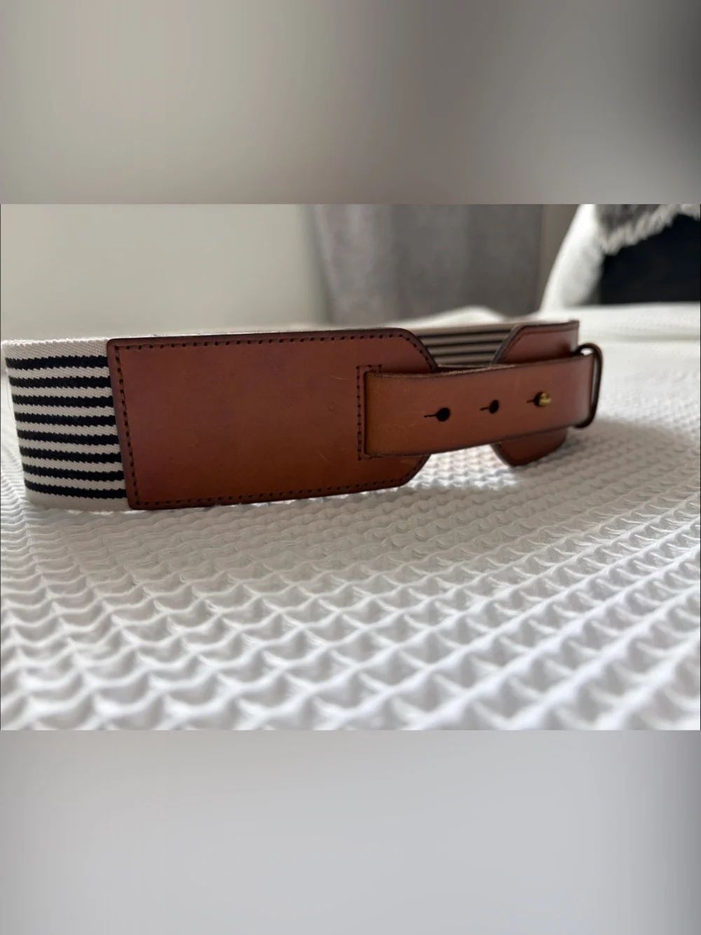 Fossil belt brown